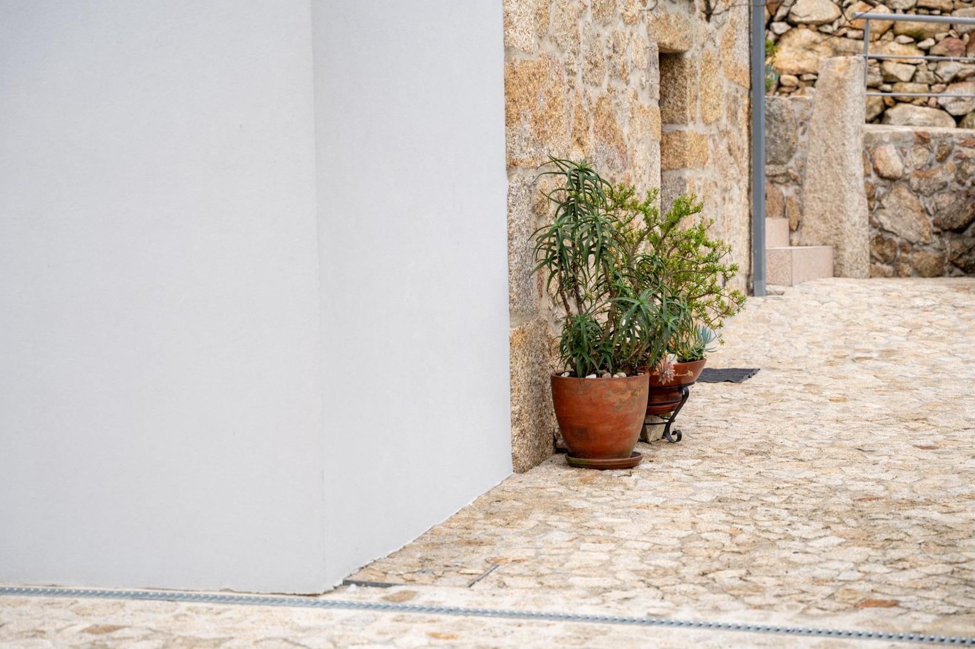 Casa Valverde - Vale De Cambra Exterior photo